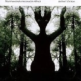 TeleFunken & Flying Saucer Attack - Distant Station
