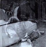 Haust - Fall