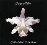 Kings Of Leon - Aha Shake Heartbreak