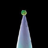 Peter Gabriel - New blood