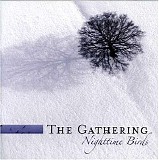 Gathering - Nighttime birds