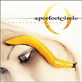 A Perfect Circle - Thirteenth step