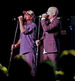 R.E.M. - These Days