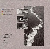 Al Di Meola - Passion, grace & fire