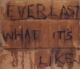 Everlast - What it's like