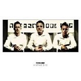 Fettes Brot - Amnesie