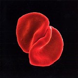 Peter Gabriel - Scratch my back