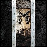 MSG - MSG