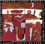 Runrig - Amazing things