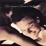 Steve Winwood - Back In The High Life