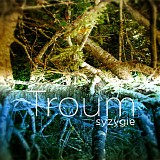 Troum - Syzygie