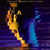 The Pains Of Being Pure At Heart - The Echo Of Pleasure