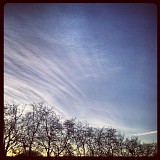 Les Ã‰toiles - Your Roots, Your Bones