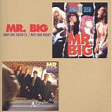Mr. Big - Raw Like Sushi II / Not One Night