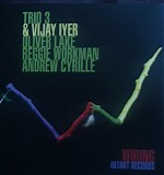 Trio 3 & Vijay Iyer - Wiring