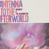 Sonny And The Sunsets - Antenna To The Afterworld