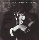 The Waterboys - This Is The Sea