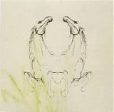 My Brightest Diamond - Tear It Down