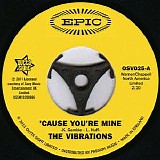The Vibrations - 'Cause You're Mine