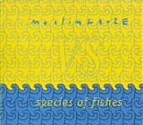 Muslimgauze & Species Of Fishes - Muslimgauze vs Species Of Fishes