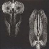 The Skull Defekts - Dances In Dreams Of The Known Unknown