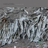 UnicaZurn - Transpandorem