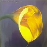 Swans - The Burning World