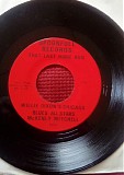 Chicago Blues All Stars & McKinley Mitchell - The Last Home Run