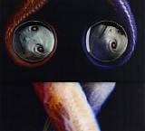Tool - Vicarious (Extended Version)