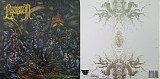 Lesbian & Ocean - Lesbian/Ocean
