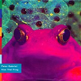 Peter Gabriel - Kiss That Frog