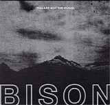 Bison - You Are Not The Ocean You Are The Patient