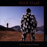 Pink Floyd - Delicate sound of thunder