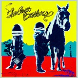 The Avett Brothers - True Sadness