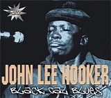 John Lee Hooker - Black Cat Blues