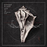 Robert Plant & The Sensational Space Shifters - lullaby and ... THE CEASELESS ROAR