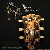 Bill Bourne - Hummingbird