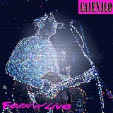 Calexico - Feast Of Live 2003 (WOLF Remaster)