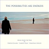 Edwyn Collins, Carwyn Ellis & Sebastian Lewsley - The Possibilities Are Endless
