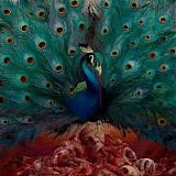 Opeth - Sorceress