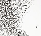 Wilco - Sky Blue Sky