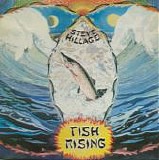 Steve Hillage - Fish Rising