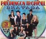 Pachangon Tropical - Bravada