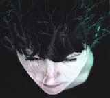 Hanne KolstÃ¸ - While We Still Have Light