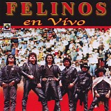 Los Felinos - En Vivo