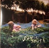 Sonic Youth - Murray Street