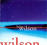 Brian Wilson - Imagination