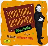 Bryn Terfel - Something Wonderful - Bryn Terfel