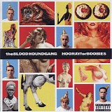 Bloodhound Gang - Hooray for Boobies