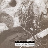 David Sylvian - Secrets of the Beehive
